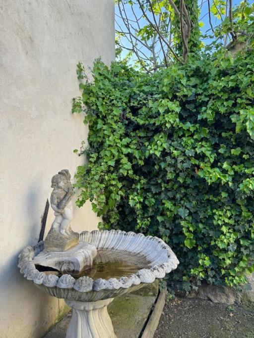 Appartement De Plain-Pied Avec Jardin Aviñón Exterior foto